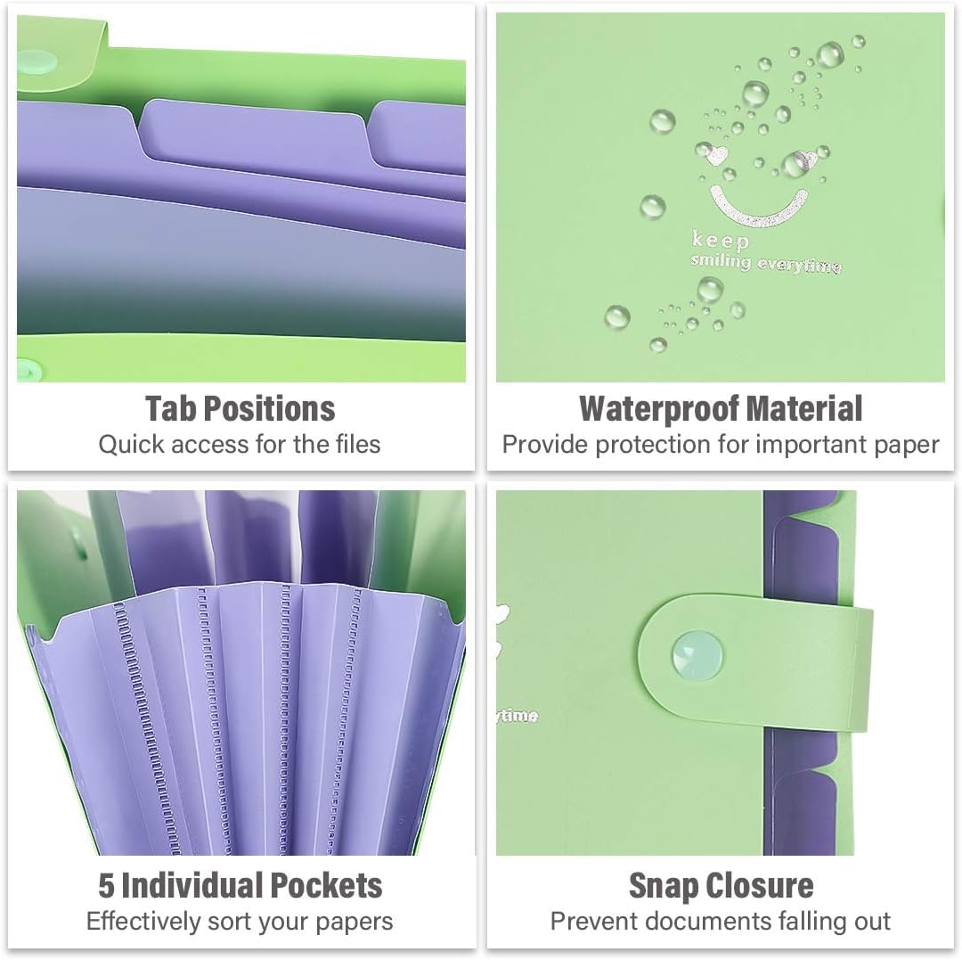Document folder in A4 format (6 pieces): Organizer folder with 5 compartments &amp; sticky notes