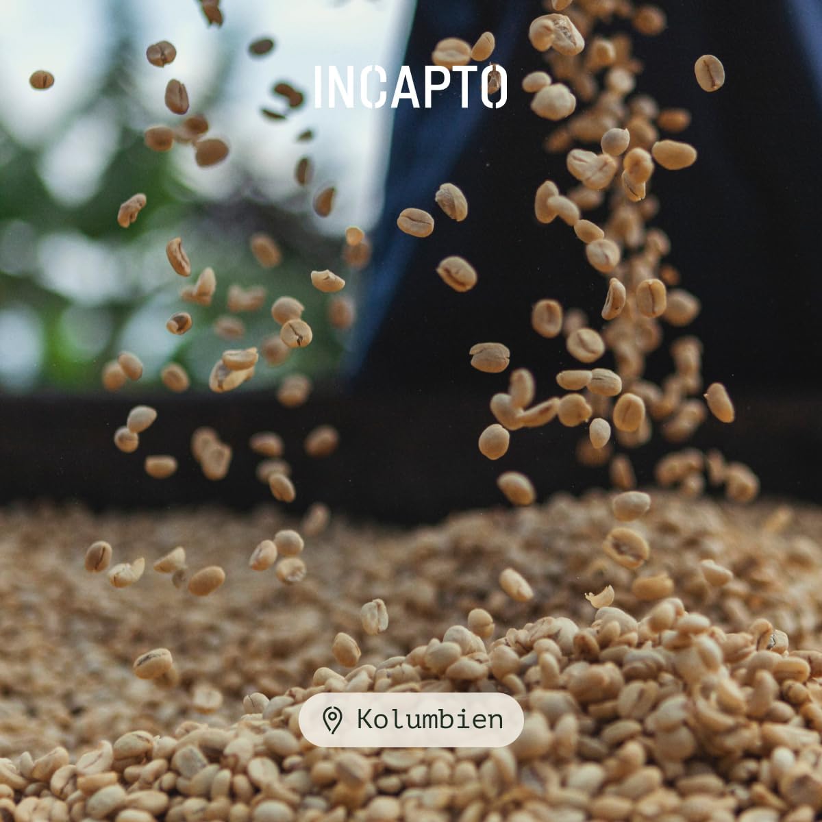 Incapto Spezialitäten-Kaffeebohnen (1kg): Single-Origin Kolumbien: Espresso 100% Arabica